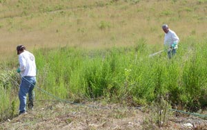 All Seasons Weed Control in Northern CA  - manually power spraying field for weed control