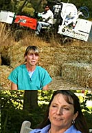 All Seasons Weed Control  - interviews with people using weed control services