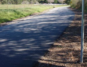 All Seasons Weed Control - Roadside Weed Control Management
