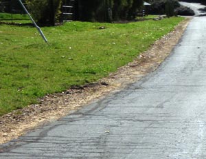 All Seasons Weed Control - Roadside Weed Control Management