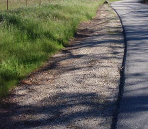 All Seasons Weed Control - Roadside Weed Control Management