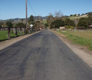 All Seasons Weed Control - Roadside Weed Control Management