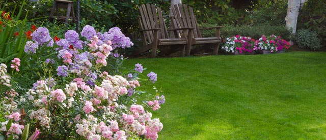 All Seasons Weed Control in Northern CA - Weed control for beautiful landscape management