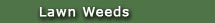 All Seasons Weed Control in Northern CA - Services for Lawn weeds link graphic